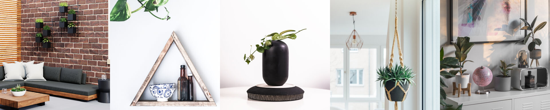 ELEVATE YOUR LIVING SPACE Instafeed Image